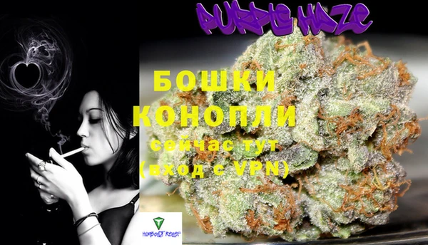 мдпв Володарск