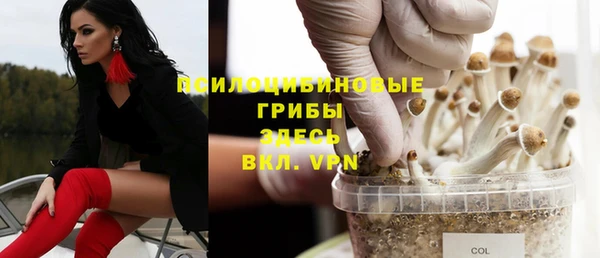 MDMA Верхний Тагил
