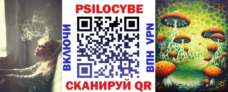 где можно купить наркотик  Ярцево  Псилоцибиновые грибы мухоморы 